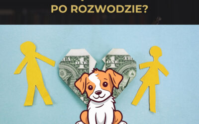 Jak wygląda podział psa po rozwodzie?